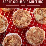 How to make delicious Apple Muffins with a Crumble Topping and Pecans!- MommySnippets.com