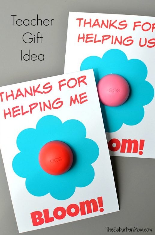 Last Minute Gift Ideas For Teacher Appreciation Week
