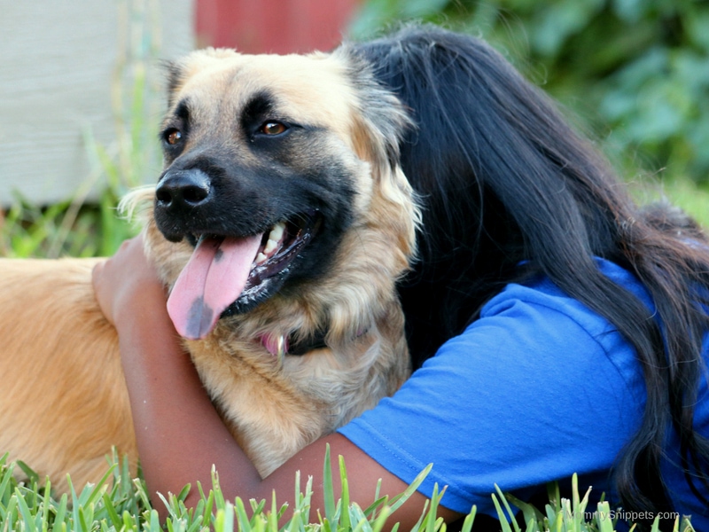 dog and her girl