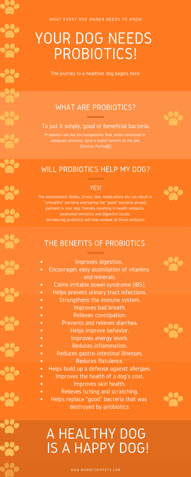 The Best Way to Support Healthy Digestion in a Dog Mommy Snippets