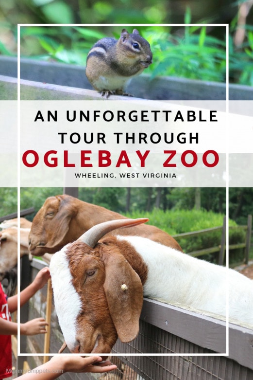 An behindthescenes tour at Oglebay Zoo (Part 1)