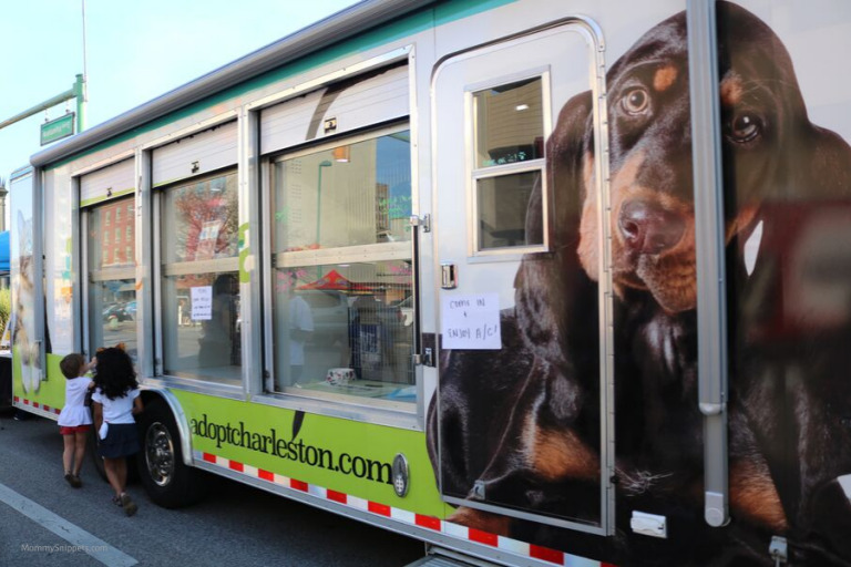 Enjoying Charleston, West Virginia the city with old town charm