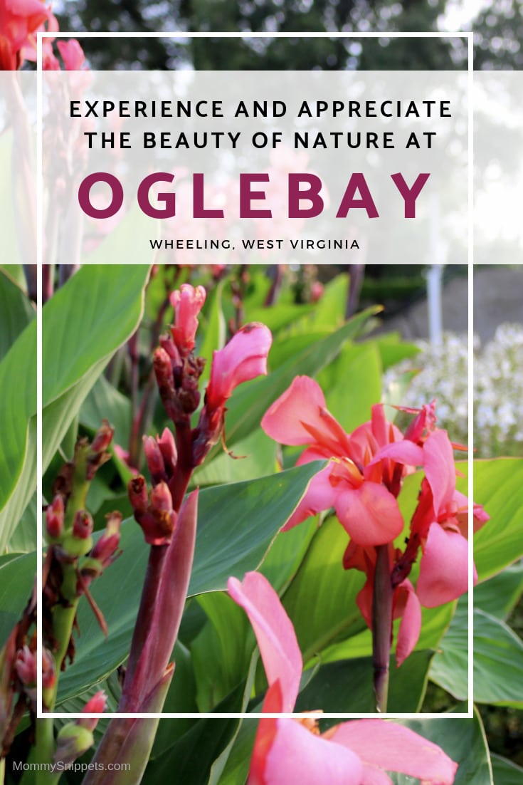 Experience and appreciate the beauty of Nature at Oglebay, Wheeling, West Virginia- MommySnippets.com #AlmostHeaven @WVTourism #Wheeling #WVPartner #MSTeamTravels #Hosted #WestVirginia