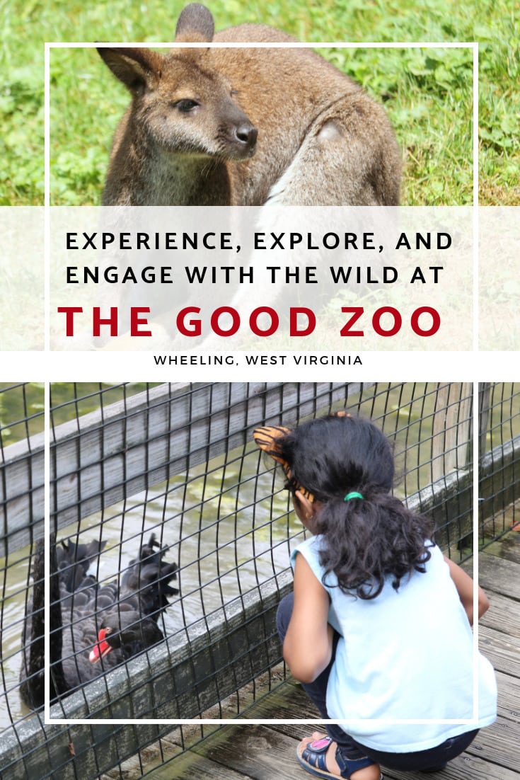 Experience, explore, and engage with the wild at The Good Zoo -MommySnippets.com #almostheaven @WVTOURISM #hosted @oglebayresort #wvpartner #MSTeamTravels