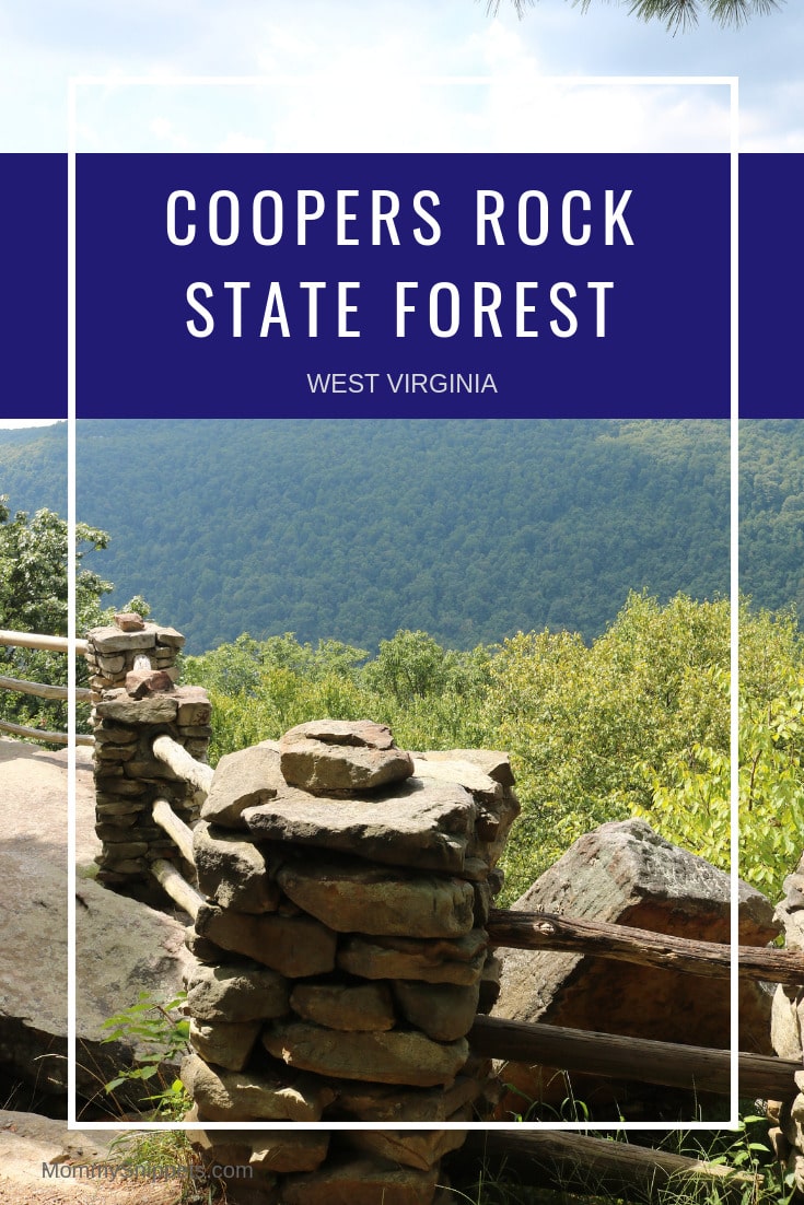 The breathtaking Coopers Rock State Forest  -MommySnippets.com #almostheaven @WVTourism #hosted @tourmorgantown #wvpartner #MSTeamTravels #Morgantown