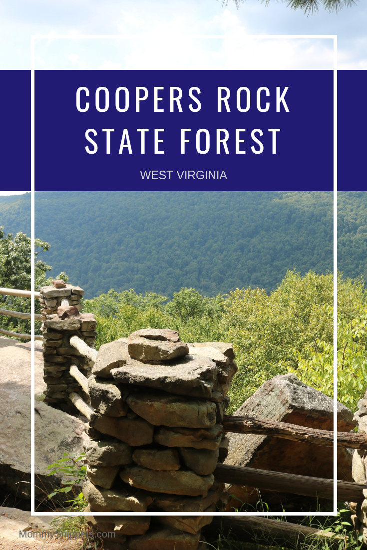 The breathtaking Coopers Rock State Forest -MommySnippets.com #almostheaven @WVTourism #hosted @tourmorgantown #wvpartner #MSTeamTravels #Morgantown