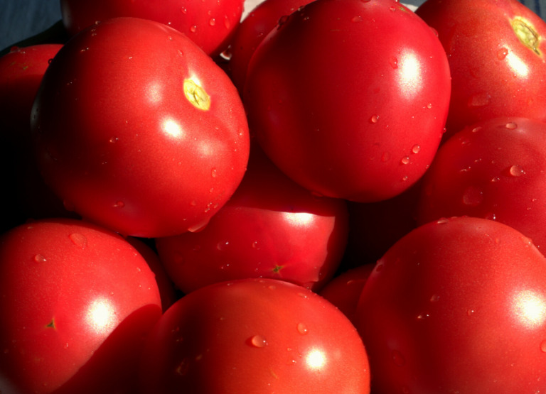 8 of the best timetested Microwave hacks. Mommy Snippets