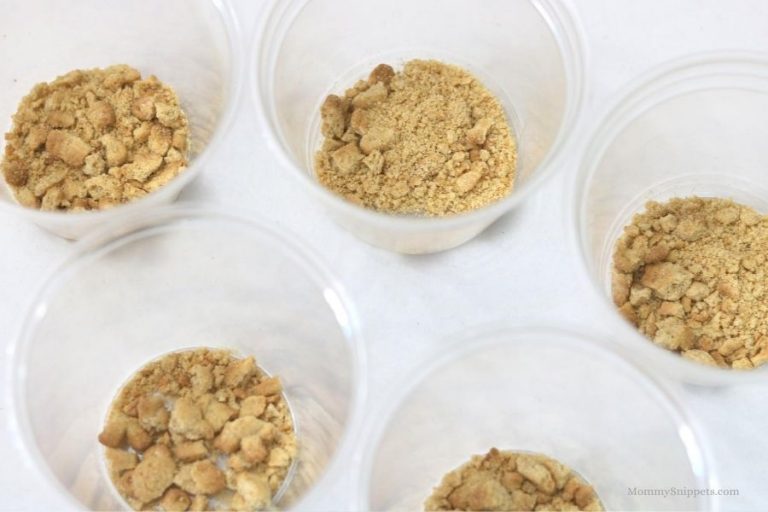 Gummy Sharks in Jello Cups and more Shark Week Fun!