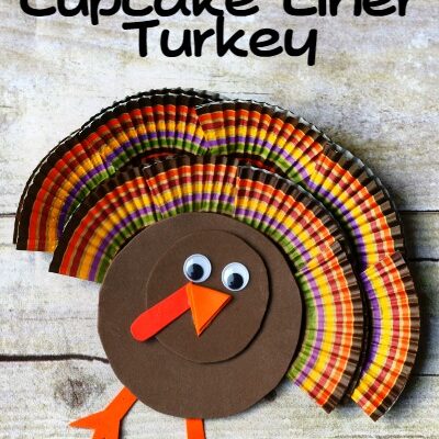 15 Adorable Thanksgiving Turkey Crafts for Kids - Mommy Snippets