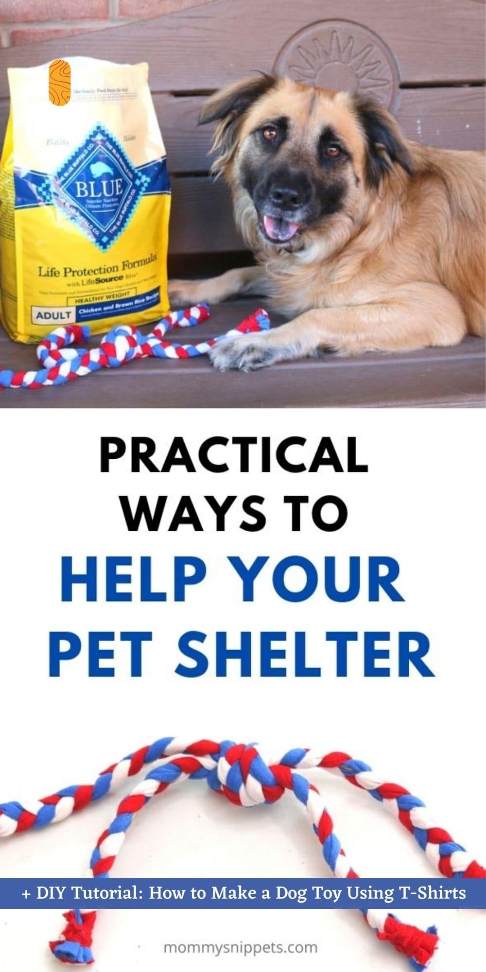 Practical Ways to Help Your Pet Shelter + DIY Tutorial: How to Make a Dog Toy Using T-shirts 