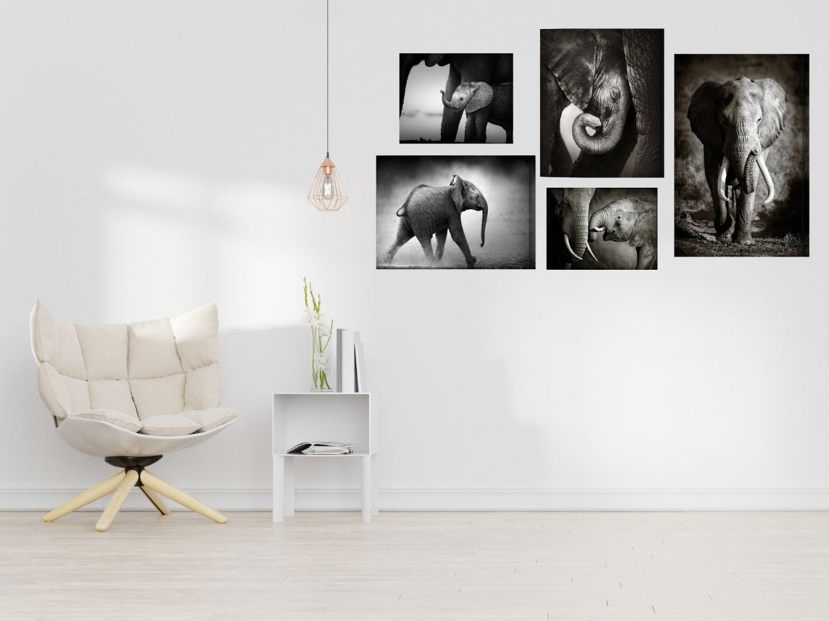Black and White Wall Art