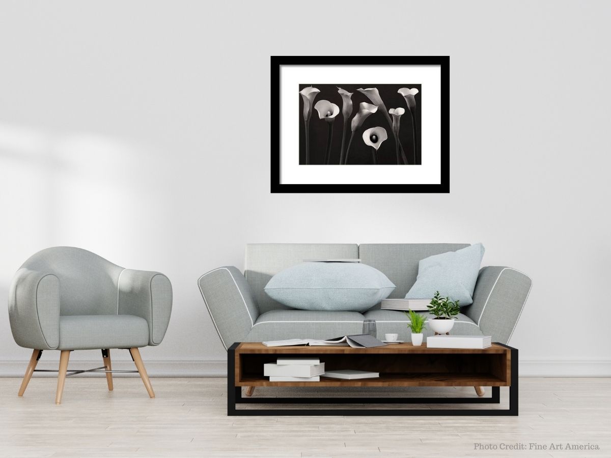 Black and White Wall Art Never Goes Out of Style! - Mommy Snippets