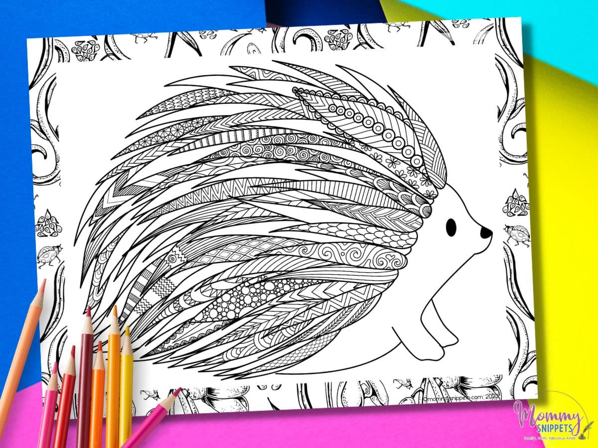 Cute Baby Hedgehog Coloring Page