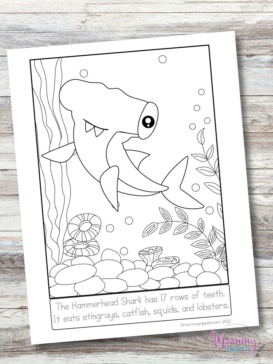 nurse shark coloring page