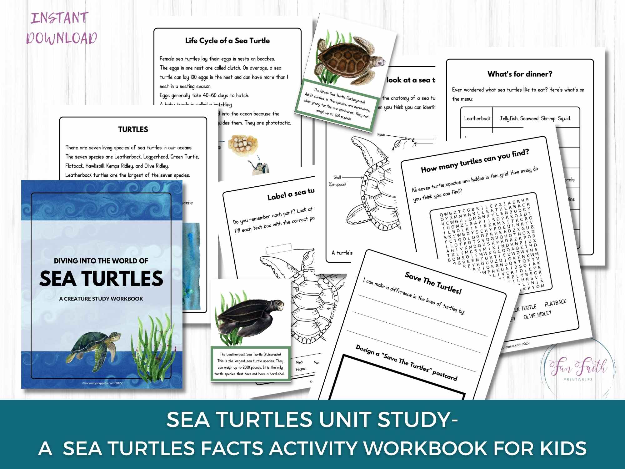 A Big Science Learning Pack, Homeschooling Workbooks Bundle for Kids