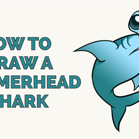 Image for How to Draw a Hammerhead Shark
