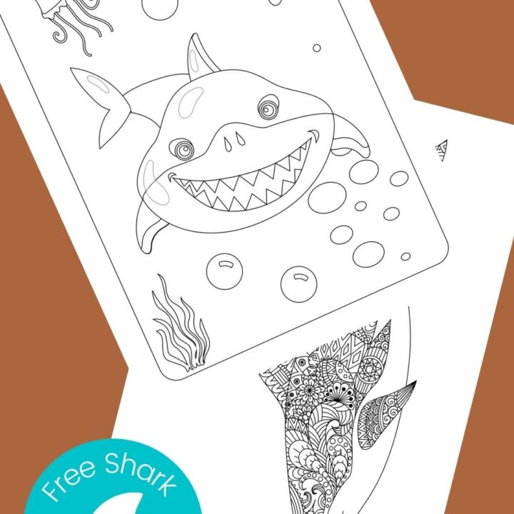 Image for Free Printable Shark Coloring Pages