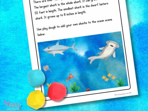 A Shark Facts Activity Workbook- A Mini Sharks Unit Study for Kids