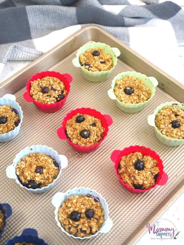 Healthy Oats and Chia Seed Muffins with Blueberries