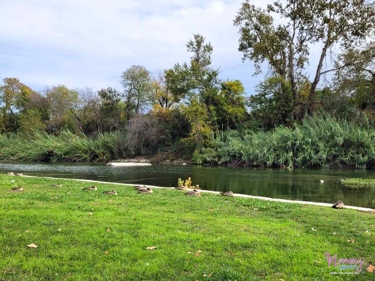 San Gabriel Trail. Georgetown, TX