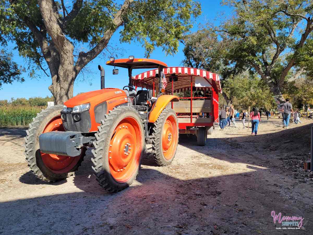 Sweet Eats Fruit Farm, Georgetown TX